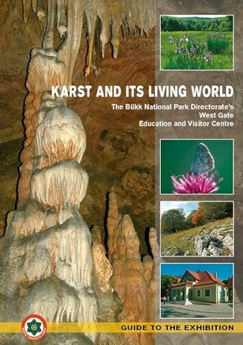 Karst and its living world